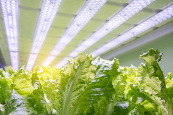 LED Lighting